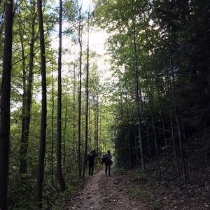 Meet your Posher, Annabelle